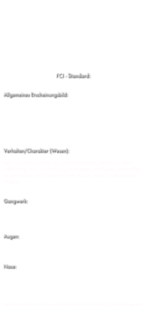 
Die holländischen Schäferhunde wurden seit Anfang des 18. Jahrhunderts als Hütehunde eingesetzt. 
Es gibt drei Varianten des holländischen Schäferhundes; 
den Kurzhaarigen, den Langhaarigen und den Rauhaarigen. 
Kurz- und Langhaarige Herder sind gold- und silbergestromt, von sehr hell bis mittel bis sehr dunkel. 
Rauhaarige sind neben gold- und silbergestromt auch blaugrau oder pfeffer- und salzfarben. 


FCI - Standard:


Allgemeines Erscheinungsbild:

Ein mittelgrosser, mittelschwerer, gut bemuskelter Hund mit kräftigem, gut proportioniertem Körperbau. Ein Hund mit viel Ausdauer. Er hat ein lebendiges Temperament und einen intelligenten Ausdruck. 



Verhalten/Charakter (Wesen):

Sehr treu und zuverlässig, stets aufmerksam, wachsam, aktiv, selbständig, mit Durchsetzungsvermögen, intelligent, bereitwillig zu gehorchen und mit dem echten Wesen eines Schäferhundes begabt.


Gangwerk:
fließend, geschmeidig, natürlich. Der Bewegungsablauf darf nicht steif und gezwungen sein, aber auch nicht schwebend und zu weit ausgreifend. 
Augen: 
dunkel gefärbt, mittelgroß, mandelförmig (nicht rund), etwas schräg platziert.   Nase: 
immer schwarz.  

Genauere Infos zu der Rasse entnehmen sie bitte aus der Clubhomepage des CHSÖ - Club für Holländische Schäferhunde Österreich